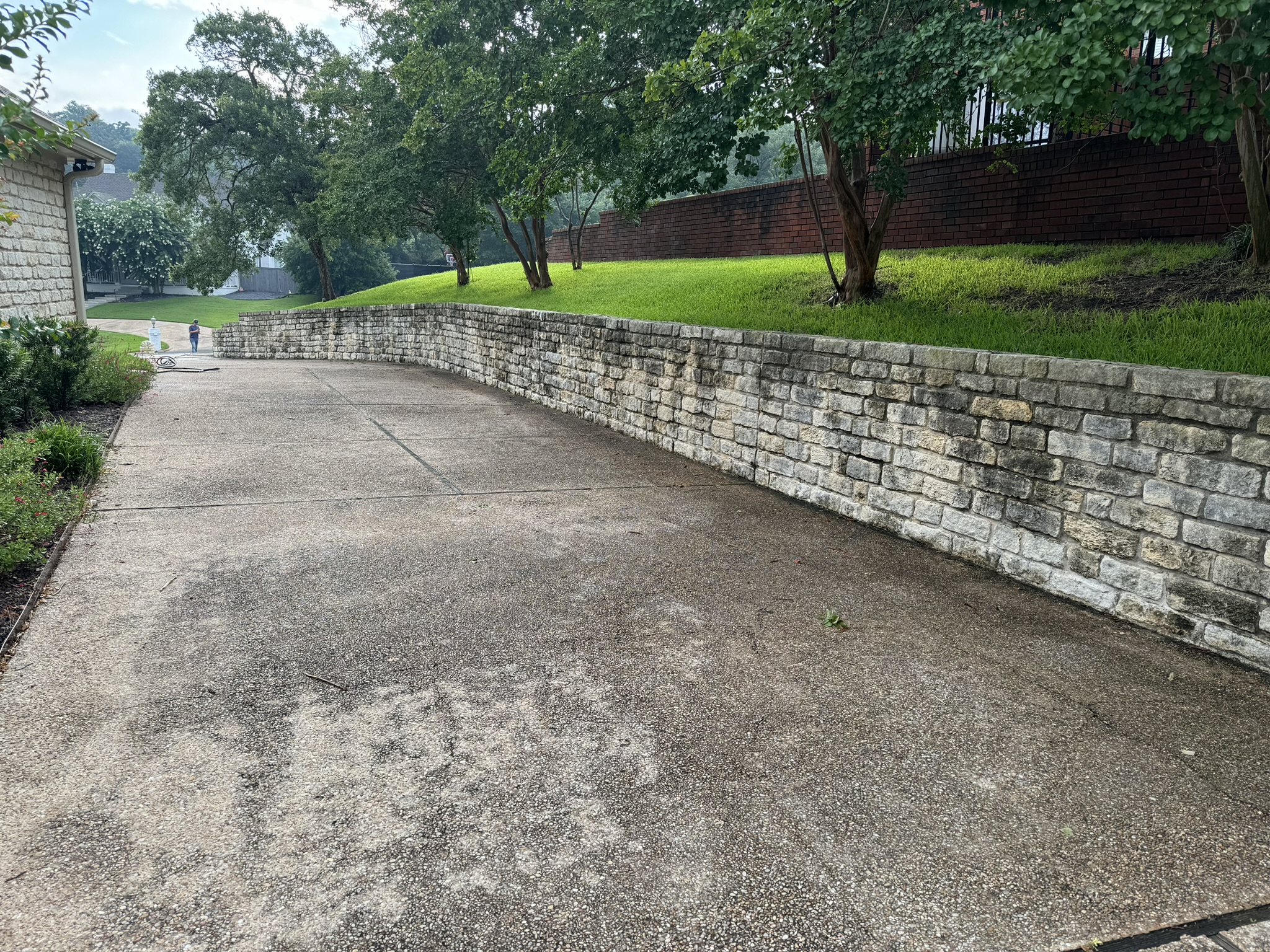 Driveway restoration before